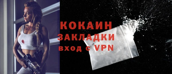 прущие грибы Дмитриев