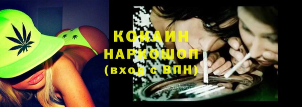 прущие грибы Дмитриев