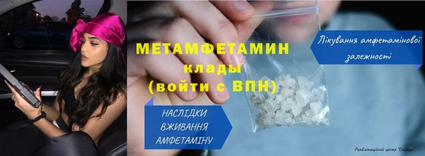 прущие грибы Дмитриев