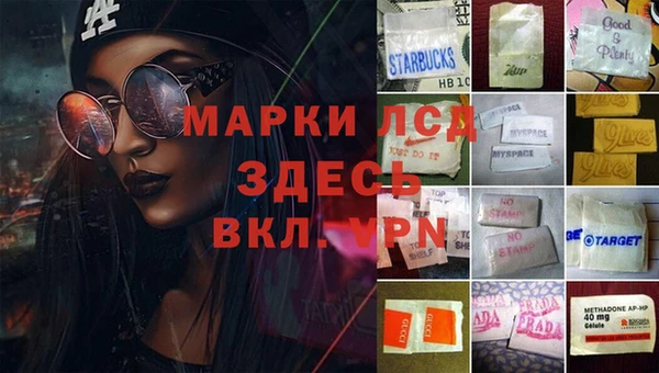 прущие грибы Дмитриев