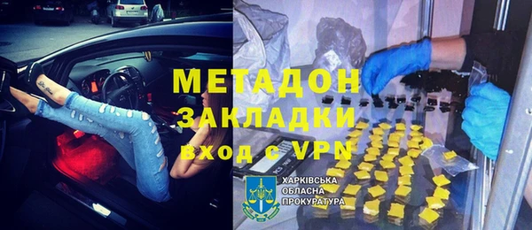 прущие грибы Дмитриев