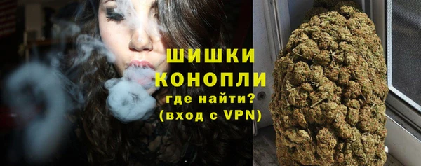 ECSTASY Шадринск