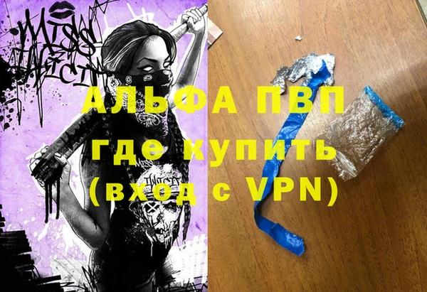 прущие грибы Дмитриев