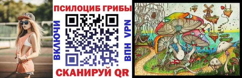 Галлюциногенные грибы прущие грибы  Пустошка 